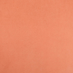 Микровелюр Fantasy F.F. 38