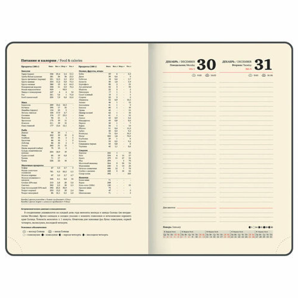 Ежедневник датированный 2025, А5, 151х213 мм, BRAUBERG "Note", под кожу, держатель для ручки, резинка-фиксатор, коричневый, 115929