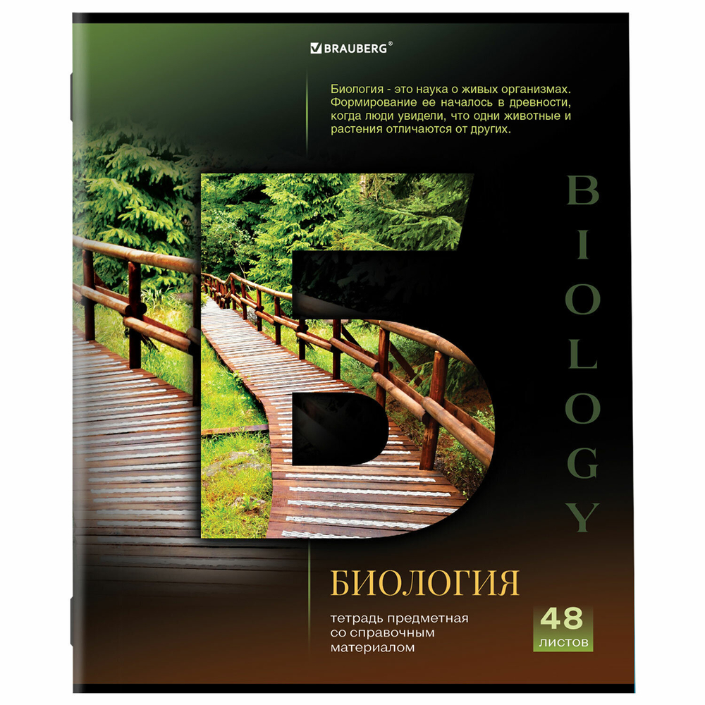 Тетради предметные комплект 12 ПРЕДМЕТОВ 48 л. обложка картон BRAUBERG "КЛАССИКА SCIENCE" (2 штуки в упаковке)