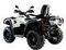 Квадроцикл AODES PathCross 650L EPS (ПСМ)