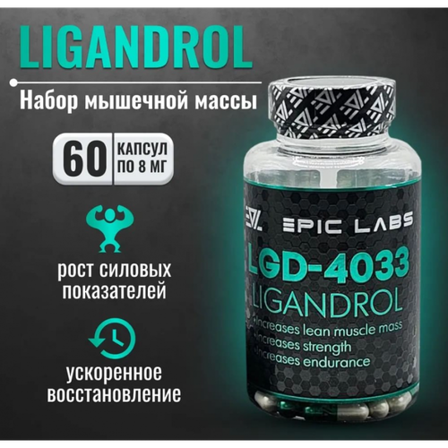 Ligandrol LGD-4033