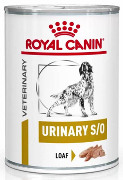 ROYAL CANIN VHN C CASTRO INTESTINAL LOW FAT cans 420G