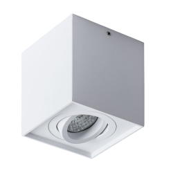 Светильник потолочный Arte Lamp Factor A5544PL-1WH