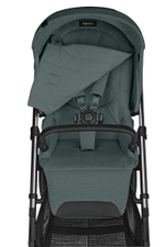 Прогулочная коляска Inglesina Aptica 2025 Emerald Green