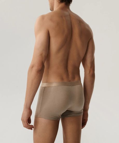 Трусы мужские боксеры (2шт), Atlantic 2BMH-012, бежевый