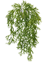 Искусственное растение Олений рог зеленый в настенном белом кашпо