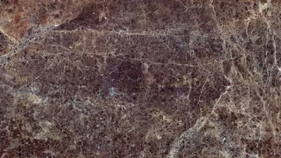 Цифровое панно ID Wall NEURONES