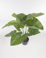 Искусственное растение Alocasia пахучая с черным горшком 57 см