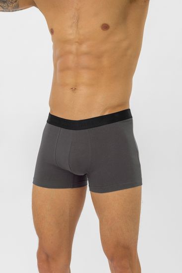 Трусы мужские боксеры Pantelemone PMH-639, серый
