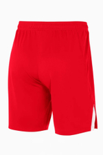 Шорты Nike Team Volleyball Spike