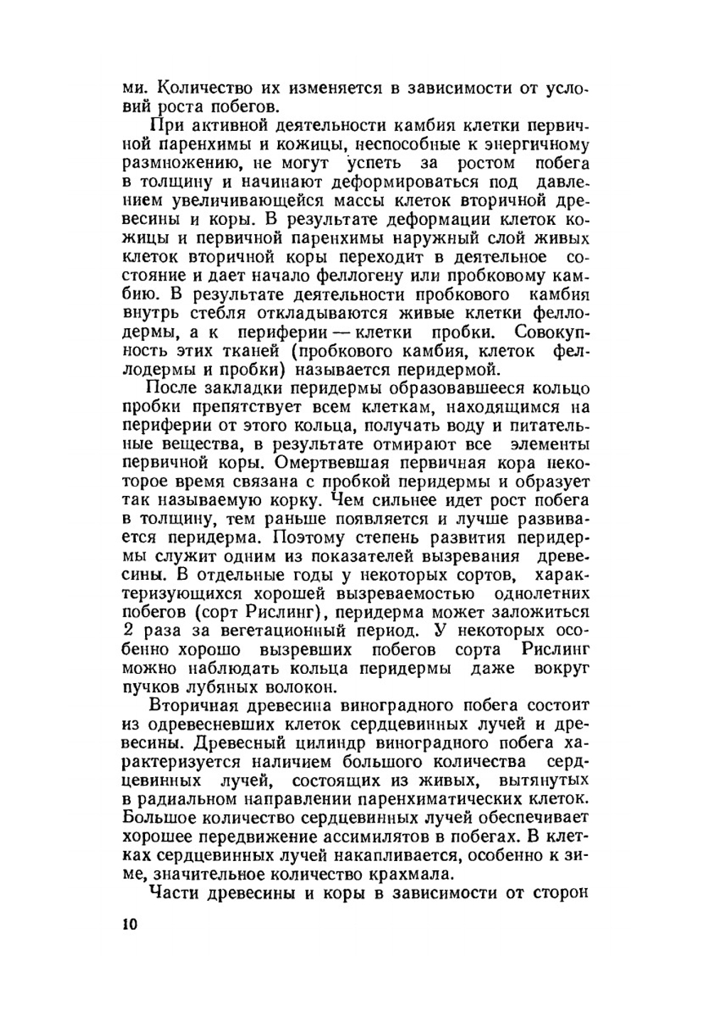 Виноградный питомник | А.Г. Мишуренко