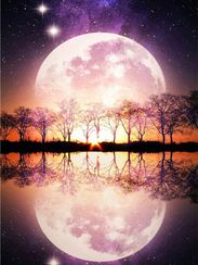 Алмазная вышивка \ Diamond painting ZX019   30x40