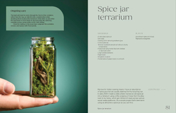 Hello Tiny World: An Enchanting Journey into the World of Creating Terrariums
