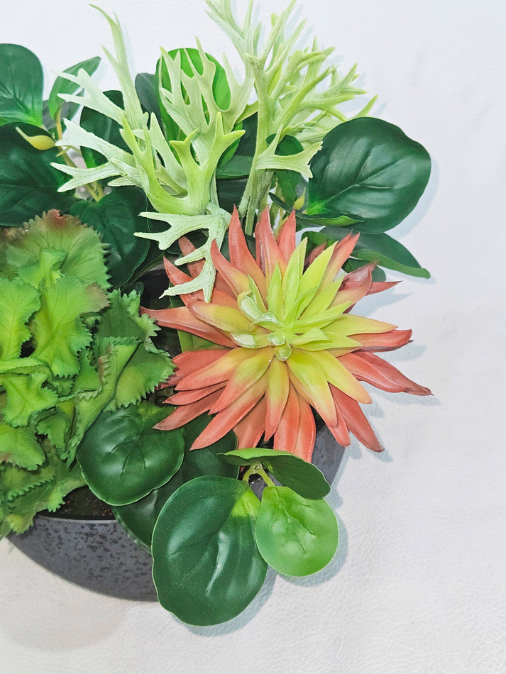 Искусственная Зелень с суккулентами 35см в чаше Лофт