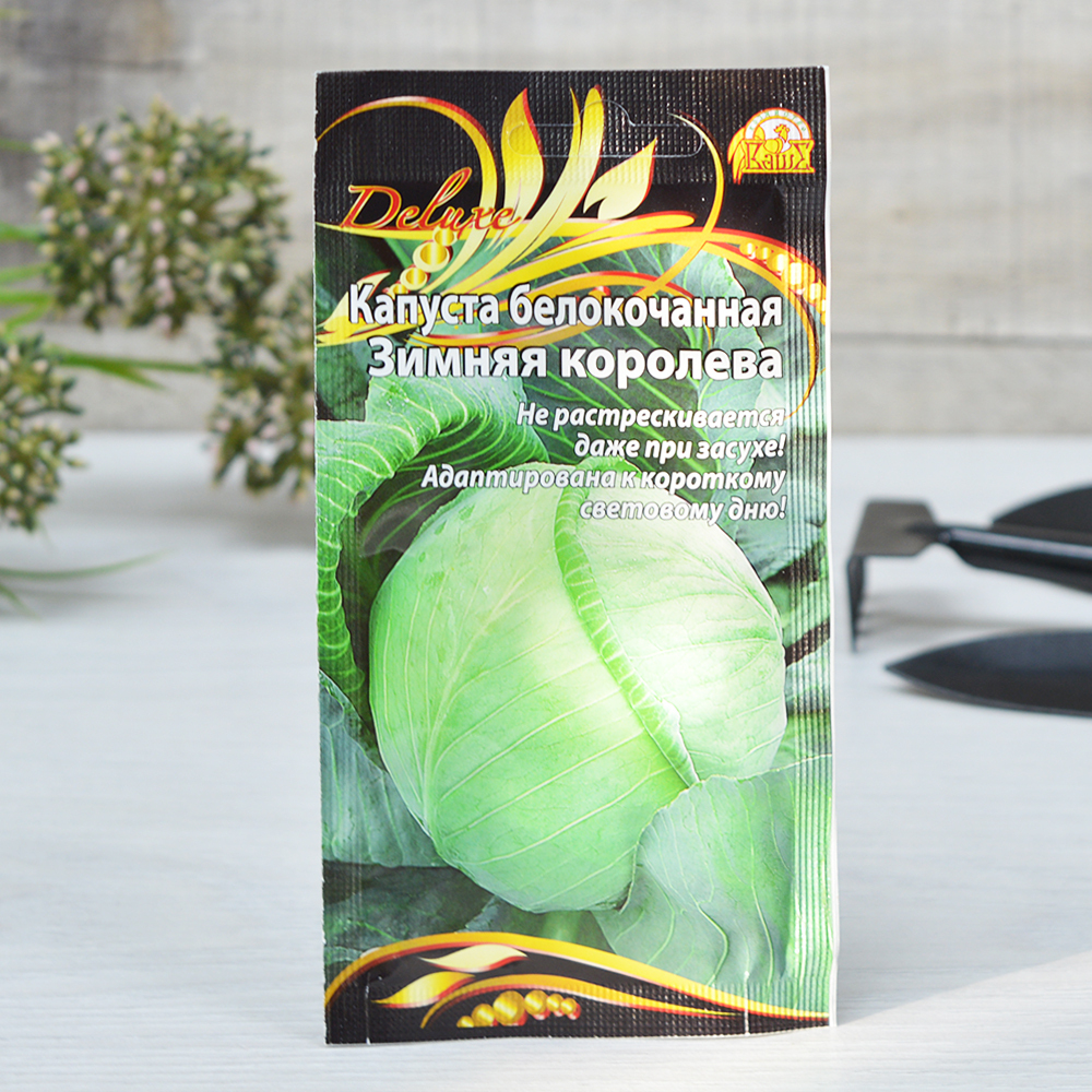 КАПУСТА Б/К Зимняя королева (0,3г) позднеспелый Цв.пак. (10шт)