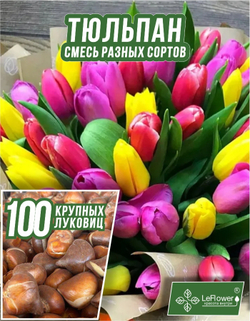 Тюльпан Луковица, Микс сортов 100 шт, крупные