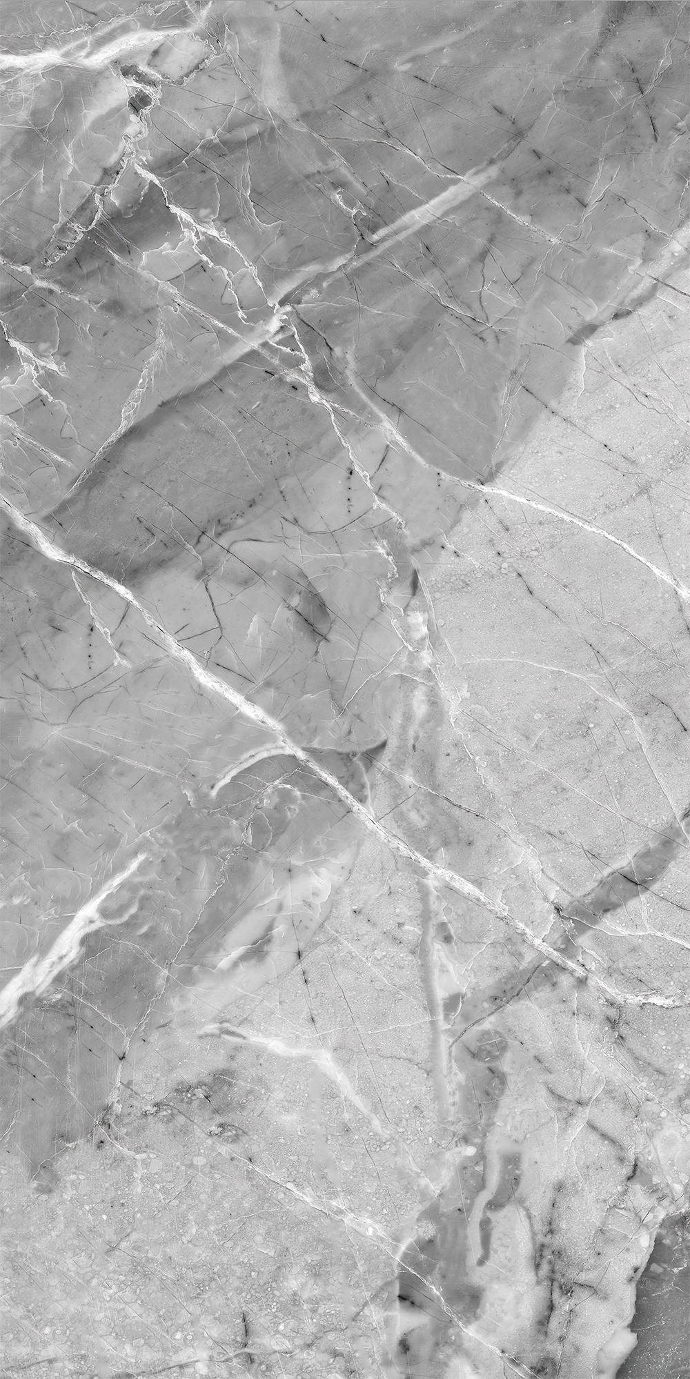 Сильвер Грэй