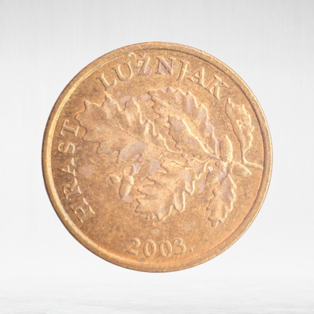 Croatia, 5 Lipa (Croatian Text), 2003, VF