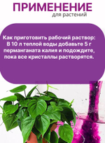 Марганцовка для растений, перманганат магния 44,5%, 50 гр.