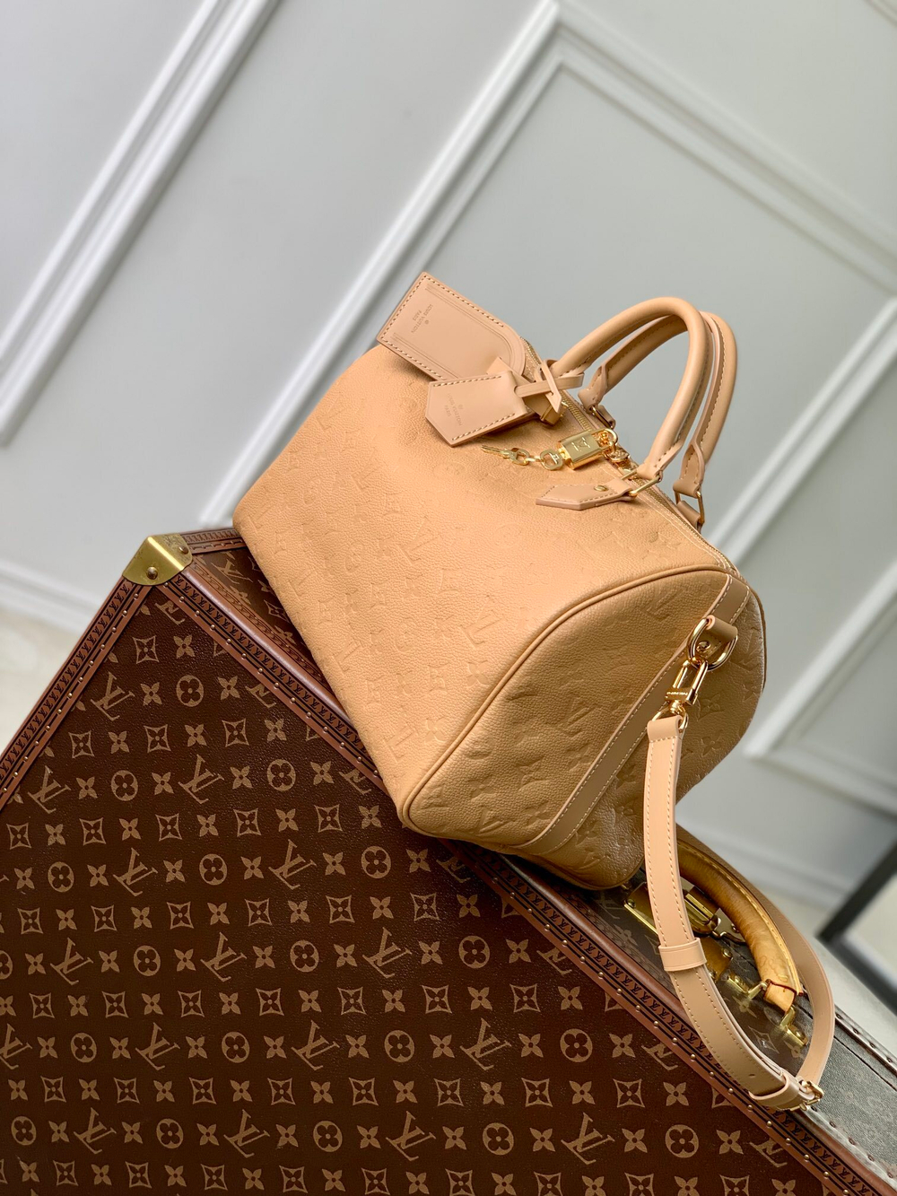 Louis Vuitton Speedy Soft 30