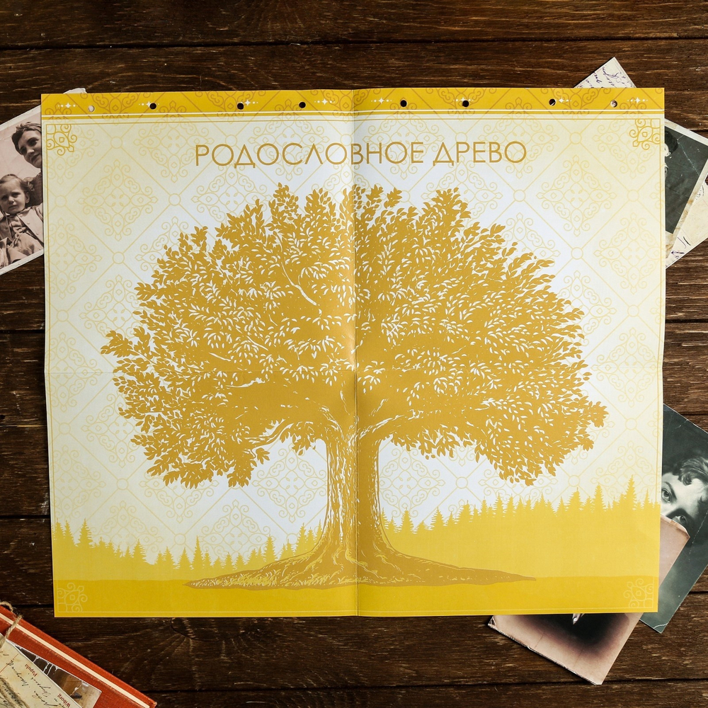 Родословная книга «Книга нашей семьи», 84 страницы, 24.5х23х4 см