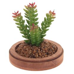 GAEM Цветочная композиция "Суккулент", L19 W19 H24 см