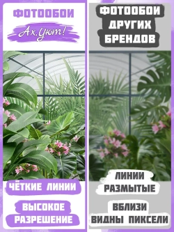 3D Фотообои вид из окна и листья