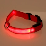 Ошейник с подсветкой и кольцом для жетона для малых пород собак «Бро видно», цвет красный, размер S - 2,5*30см (лейбл)✦