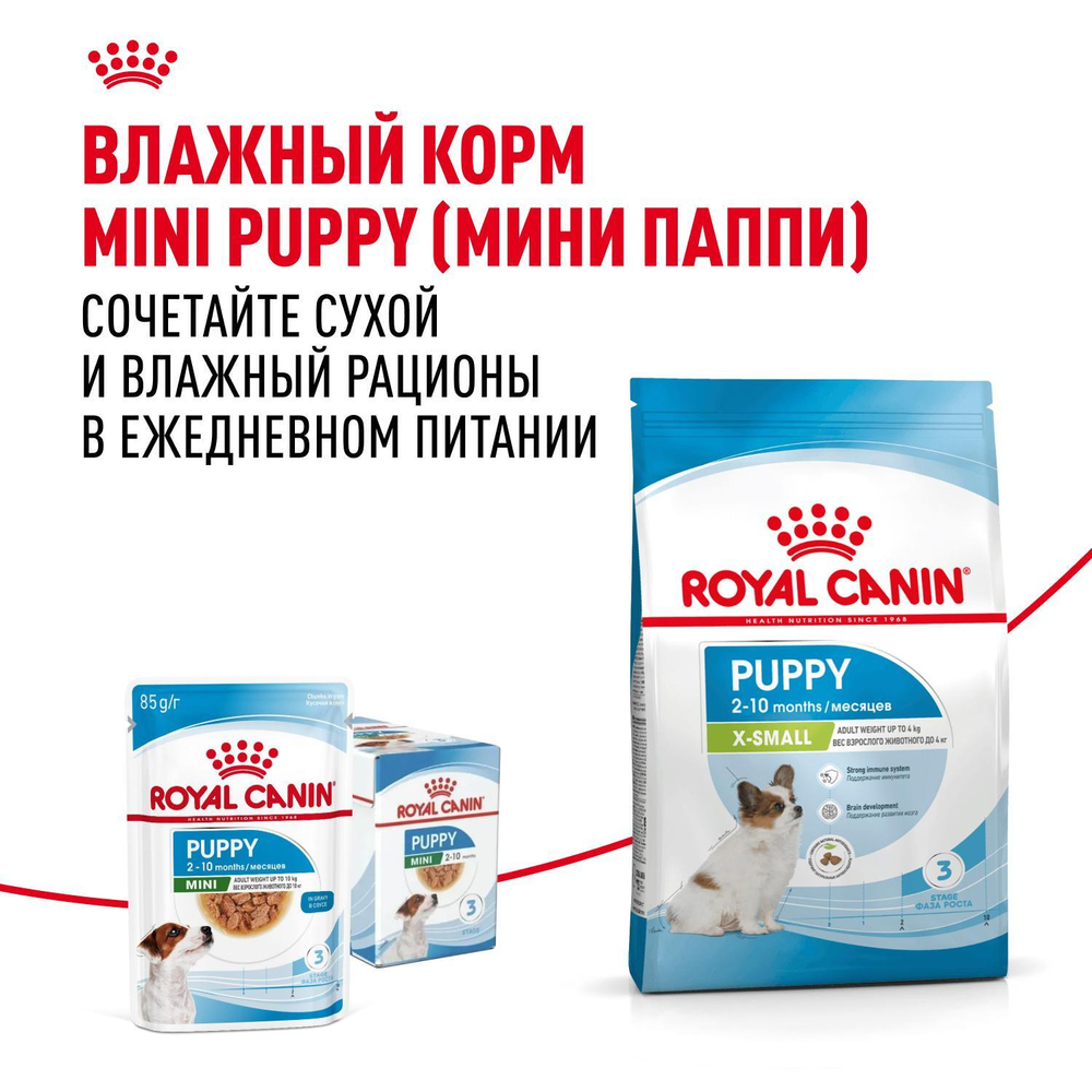 Royal Canin X-Small Puppy Корм сухой для щенков очень мелких размеров 0,5 кг