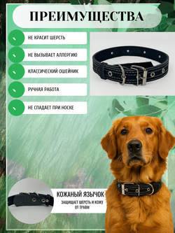 Ошейник для собак средних и крупных пород регулируемый черный