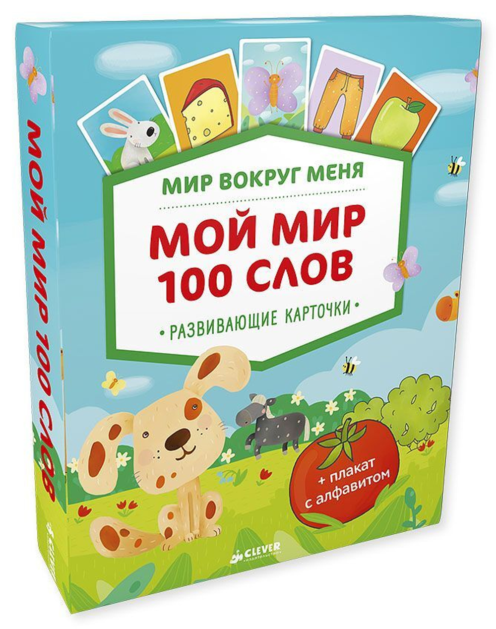 Мир вокруг меня. Мой мир. 100 слов