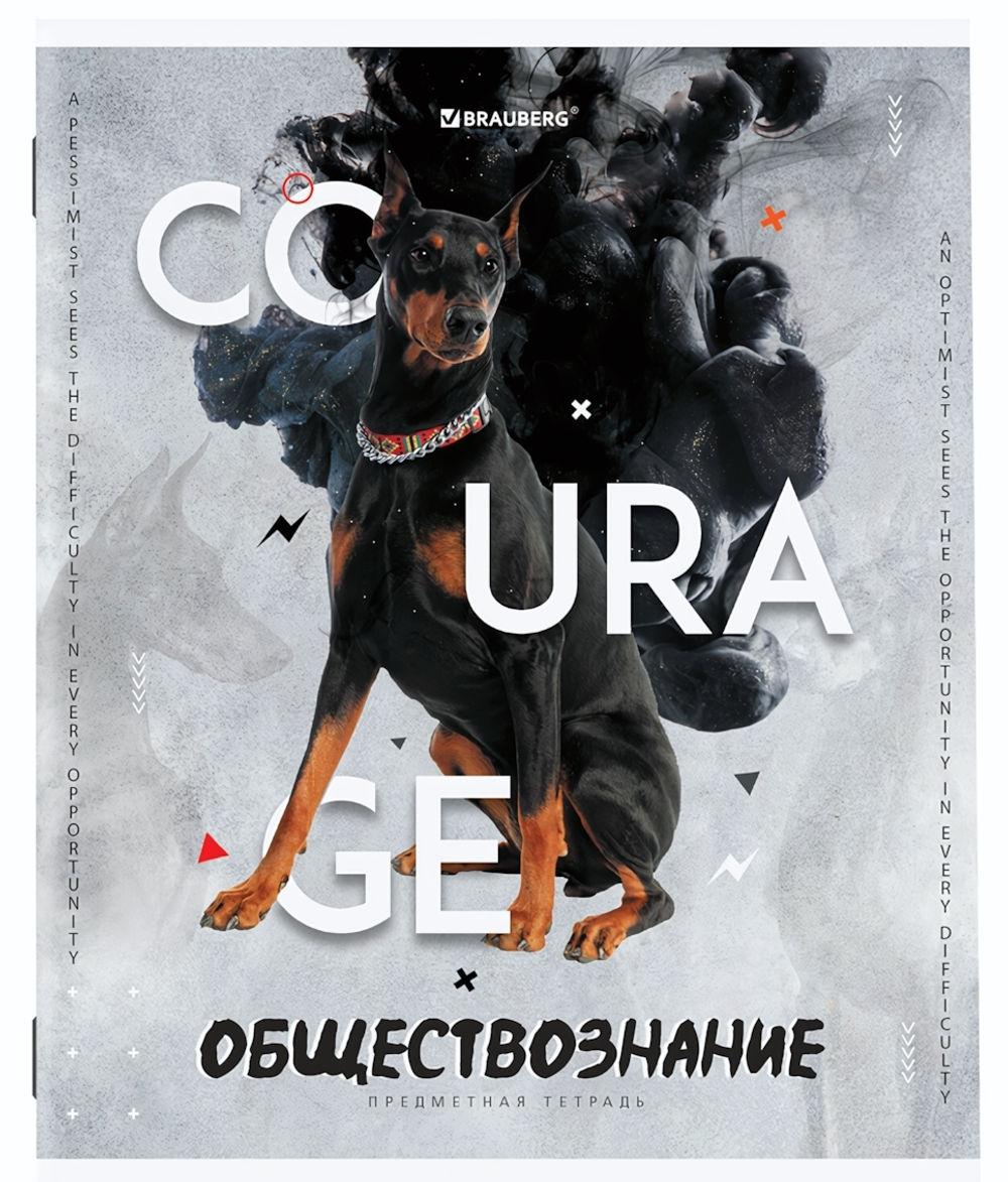 Тетрадь предмет. А5 48л. клетка "Sport Club" Обществознание, подсказ (BRAUBERG)