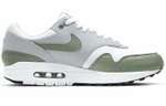 Кроссовки Nike Air Max 1 Premium "Spiral Sage"
