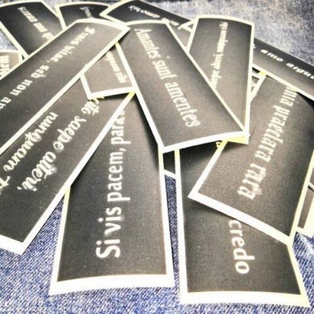 Трафарет ФА101: Я силой истины при жизни завоевал вселенную - Vi veri vniversum vivus vici