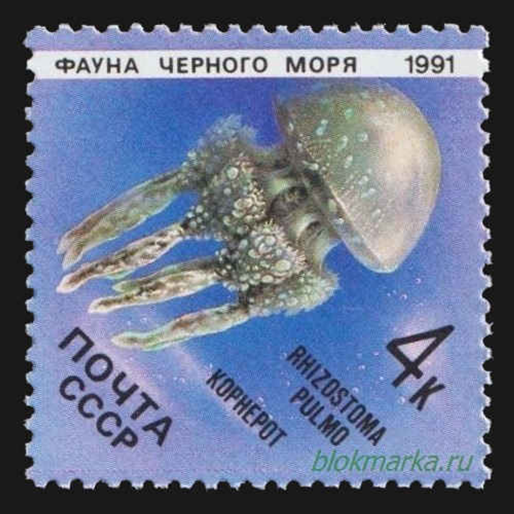 СССР 1991 г № 6279 Фауна Черного моря Медуза Чистая MNH **