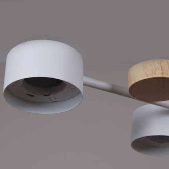 03758-0.3-10 WT+WOOD GX53 светильник потолочный