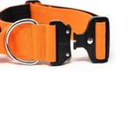 Ошейник Combat 5 см с ручкой BullyBillows