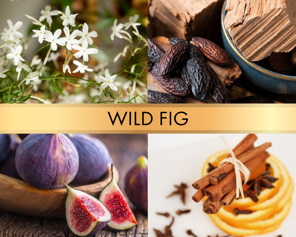 Wild fig (Дикий инжир)