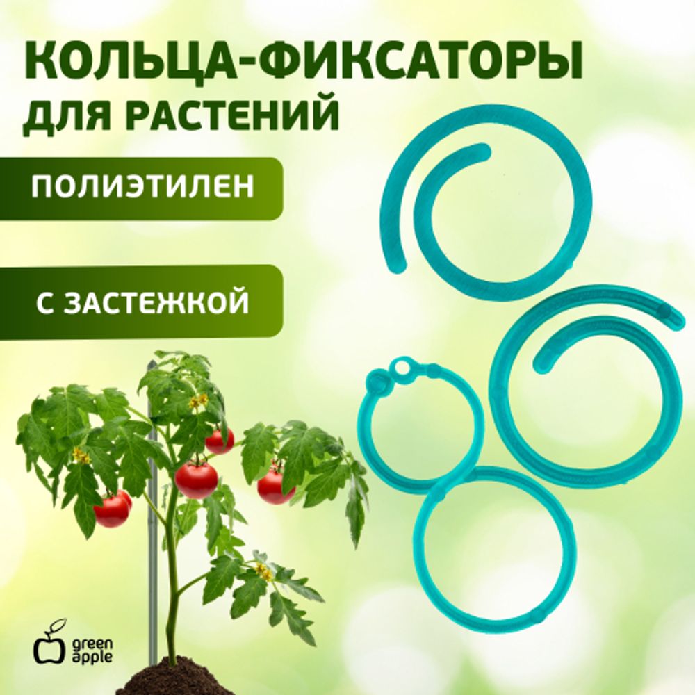 GPCR-2 GREEN APPLE Кольцо фиксатор цепочка