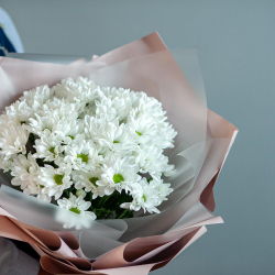 Букет хризантем ромашек размер S