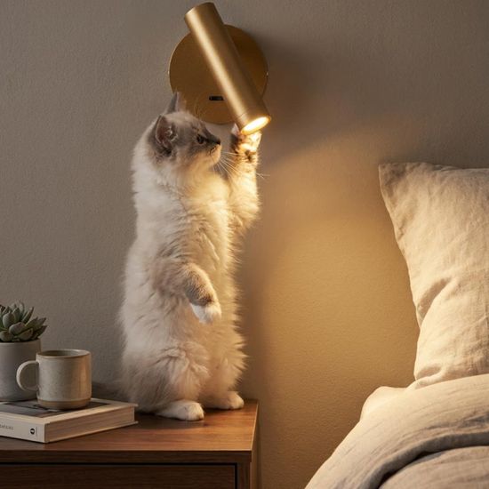 CL704102 DEKART Золото Св-к Настенный