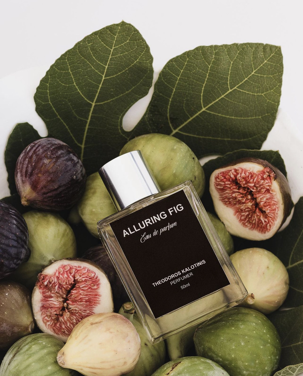 Theodoros Kalotinis Alluring Fig