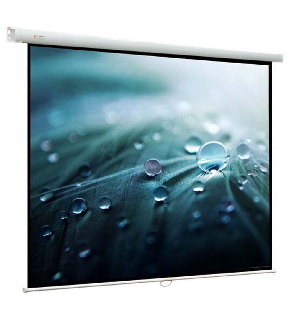 Экран  Viewscreen Lotus WLO-1106