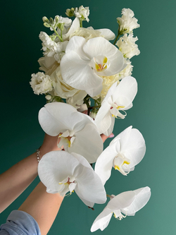 Букет «Нежная любовь»