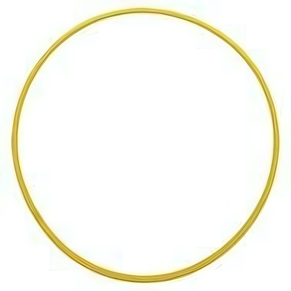 Обруч (d=50 см) (Пластмастер)