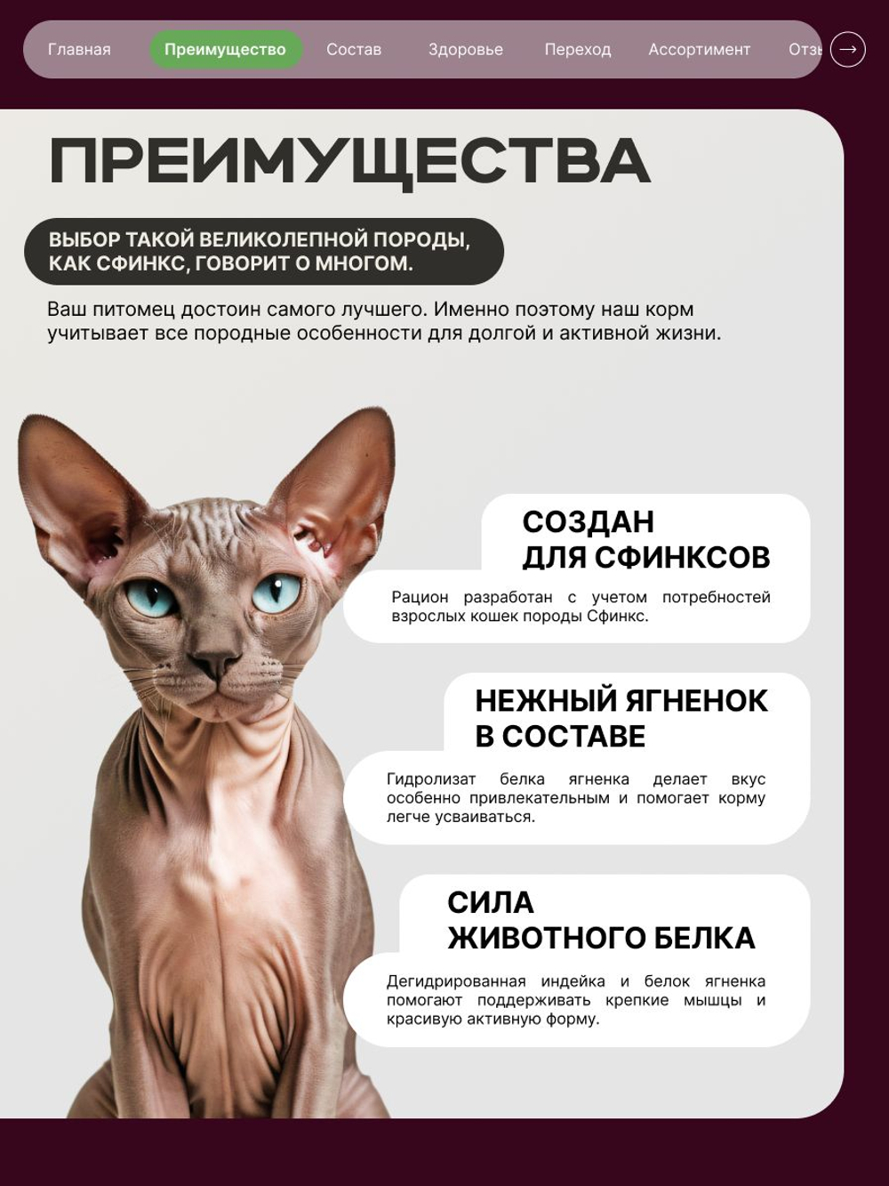 Корм сухой для кошек породы Сфинкс, с ягненком, 5 кг, QUATTRO