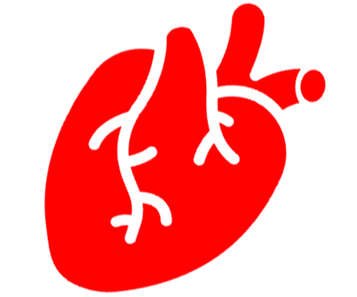 СУБПРОДУКТЫ