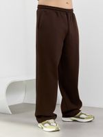 Брюки мужские Интер-2 Виотекс КОРИЧНЕВЫЙ