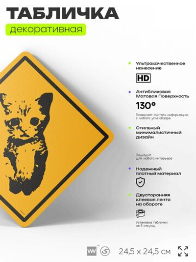 Табличка мем "Котик стоит на задних лапах" шуточная прикольная табличка на дверь и стену, для офиса и дома, декоративный знак, 24,5х24,5 см, пластиковая, Айдентика Технолоджи