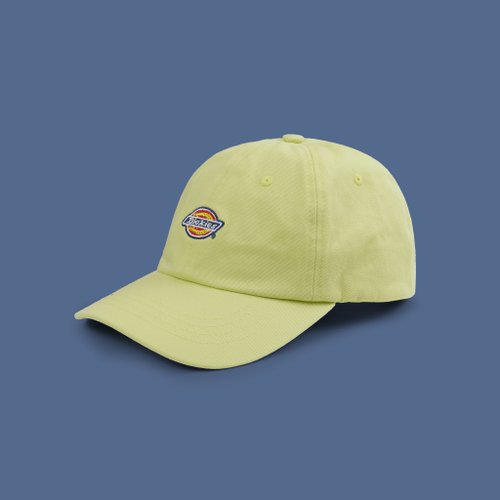 Кепка Dickies Hardwick 6 Panel Logo артикул:DK0A4TKVH141 - купить в магазине Дайс